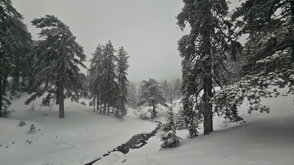 5375279344820466 614146339 1796518344341171 6631996974785700961 n