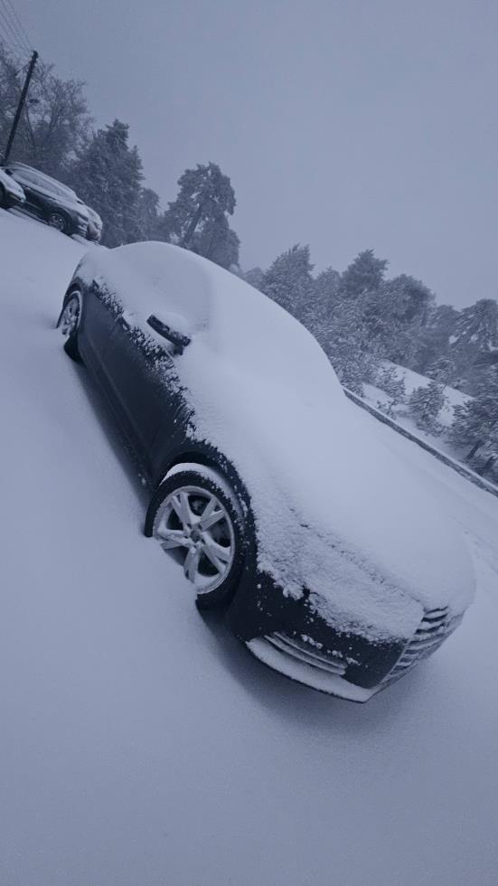 5375279370757921 615270503 1796518291007843 75892203599123390 n