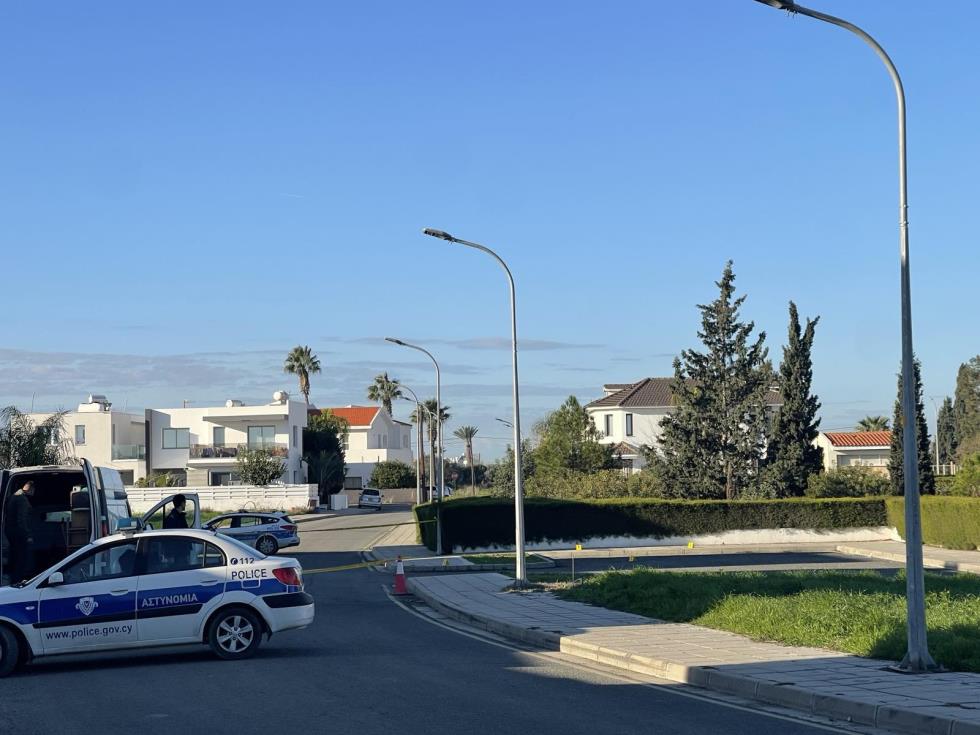 5377009520319802 image