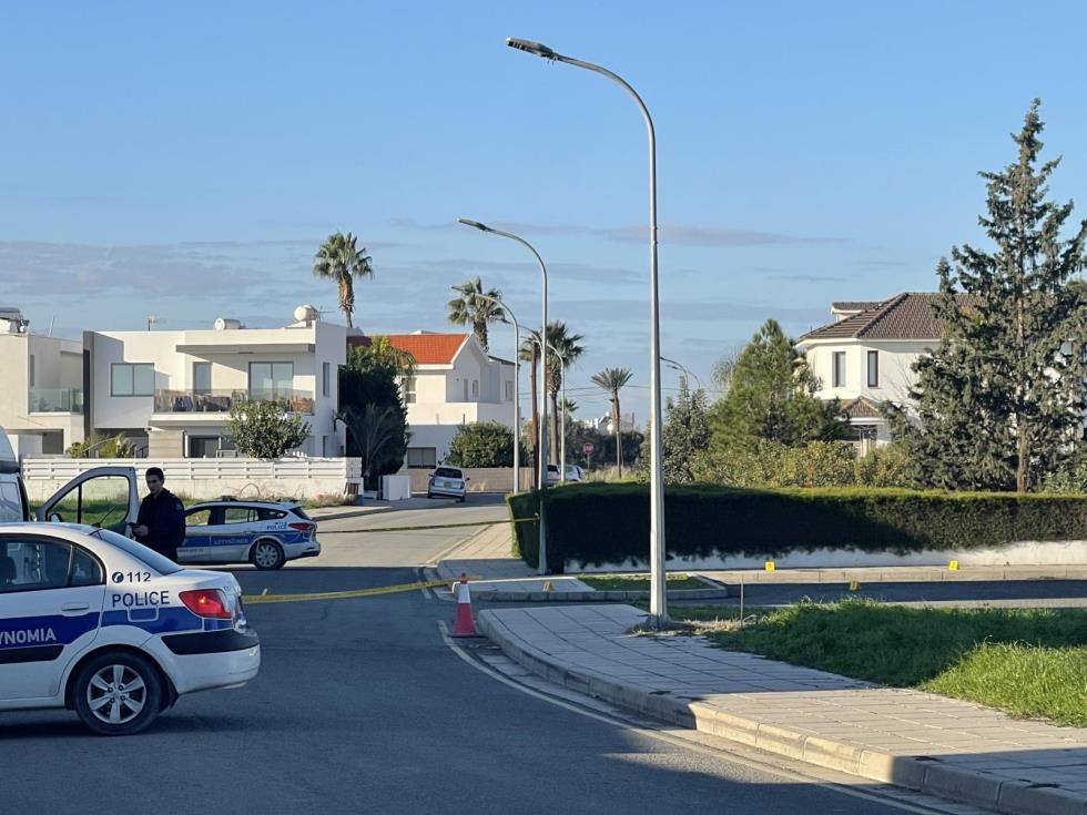 5377009683559214 image