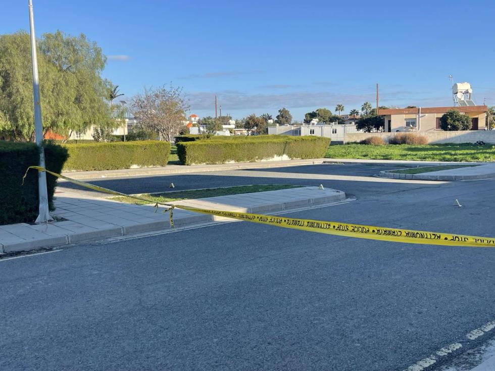 5377009742823638 image