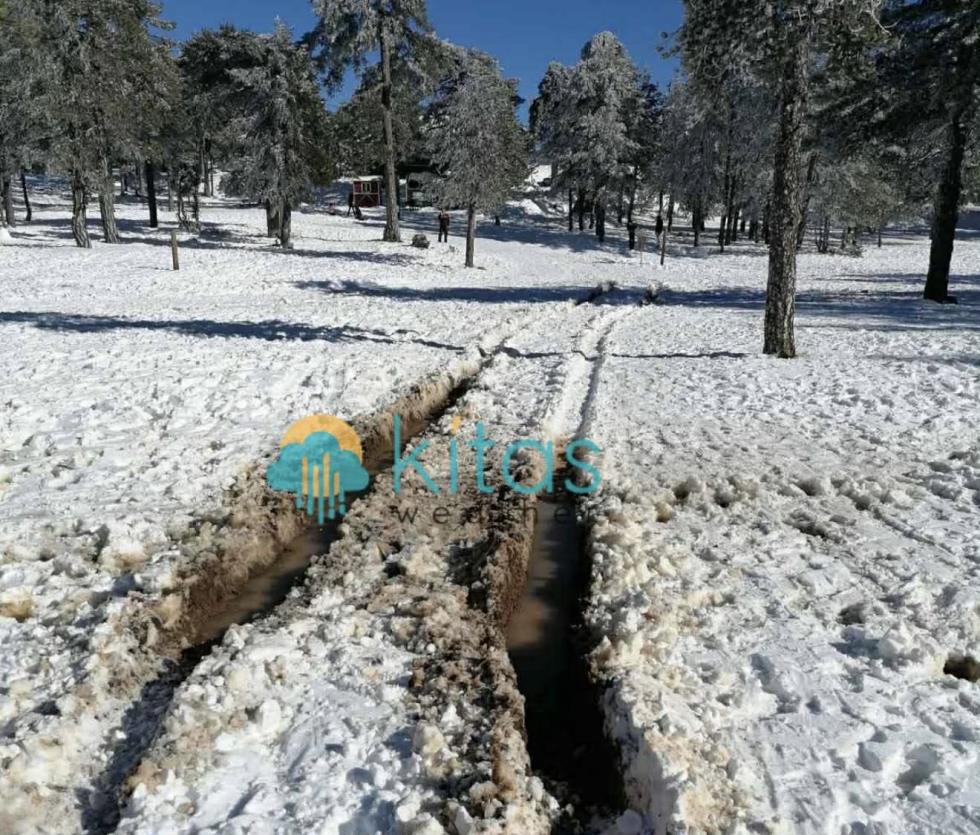 5377177187756554 image