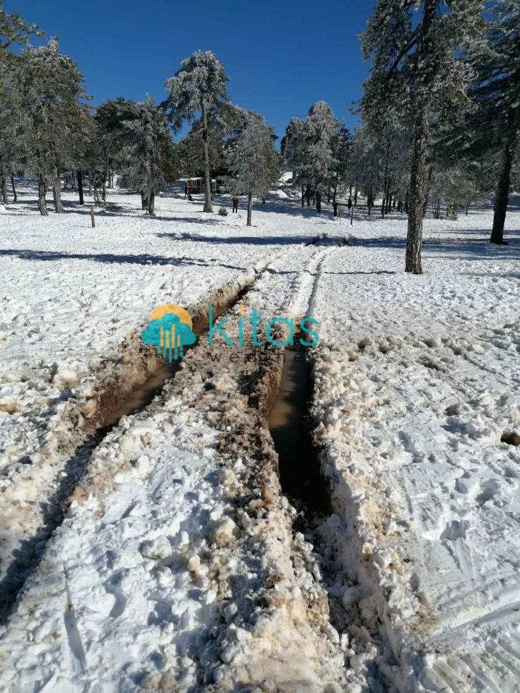 5377185339823816 image