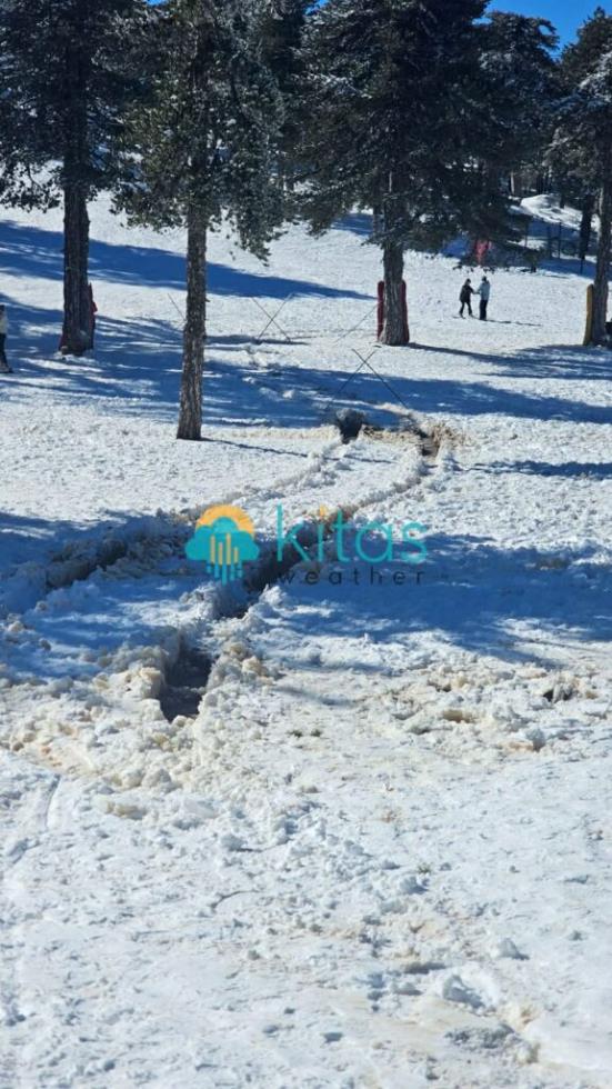 5377185489431118 image