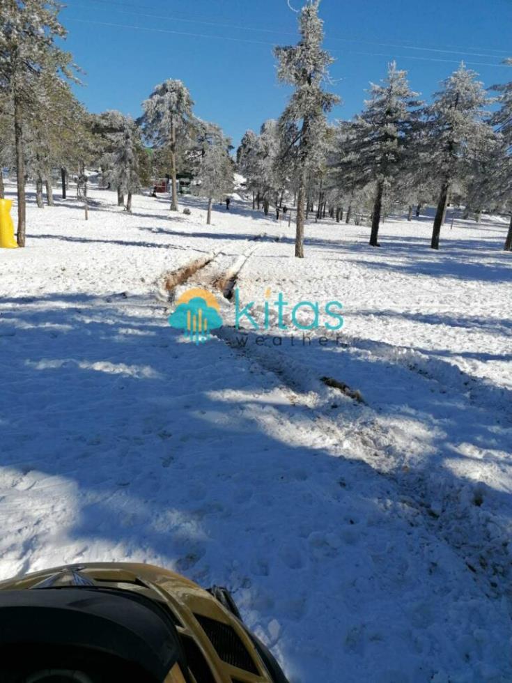 5377185531701554 image