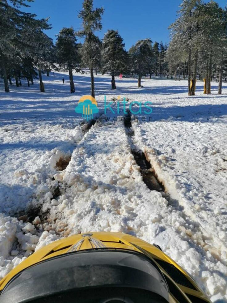 5377185589629211 image