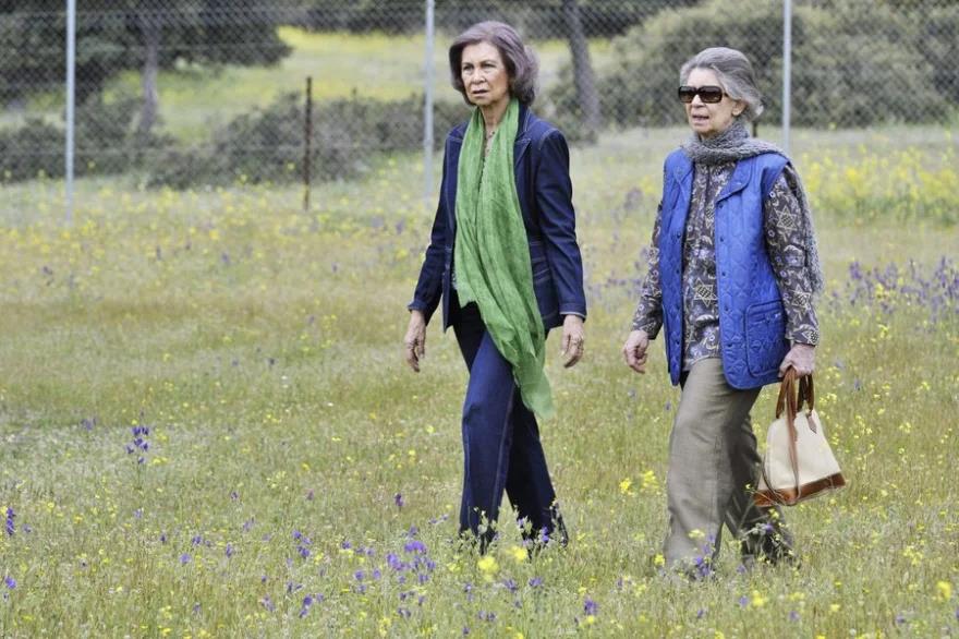 5377372879900708 image