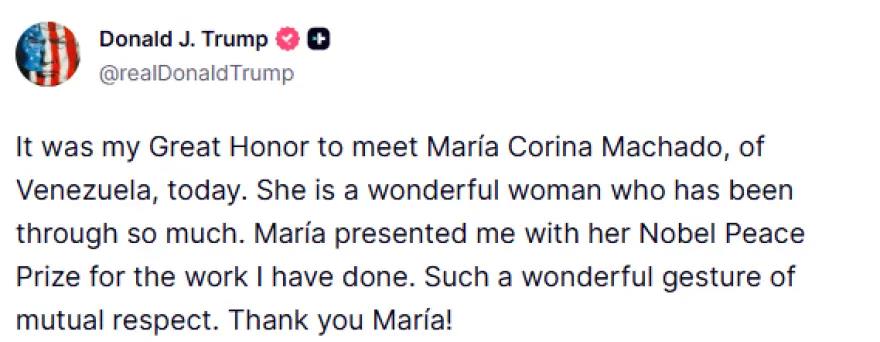 5377808109085027 image