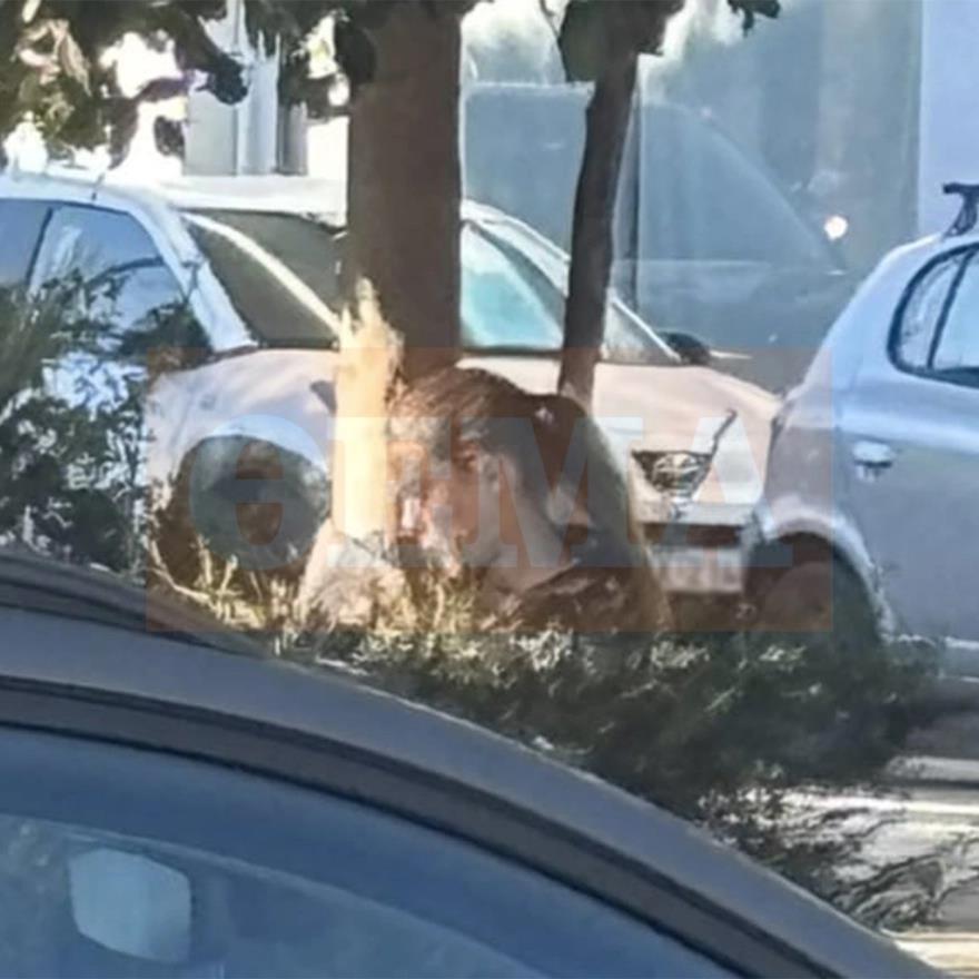 5377810931733242 image