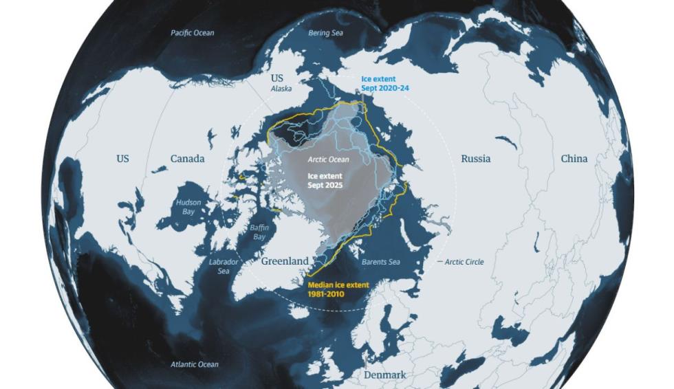 5377943232049743 image