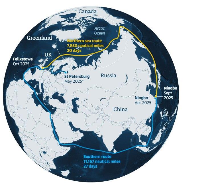 5377943518632482 image