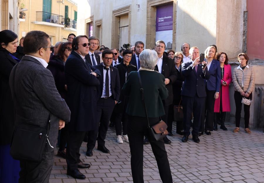 5378020244875677 GreenlineCom-21