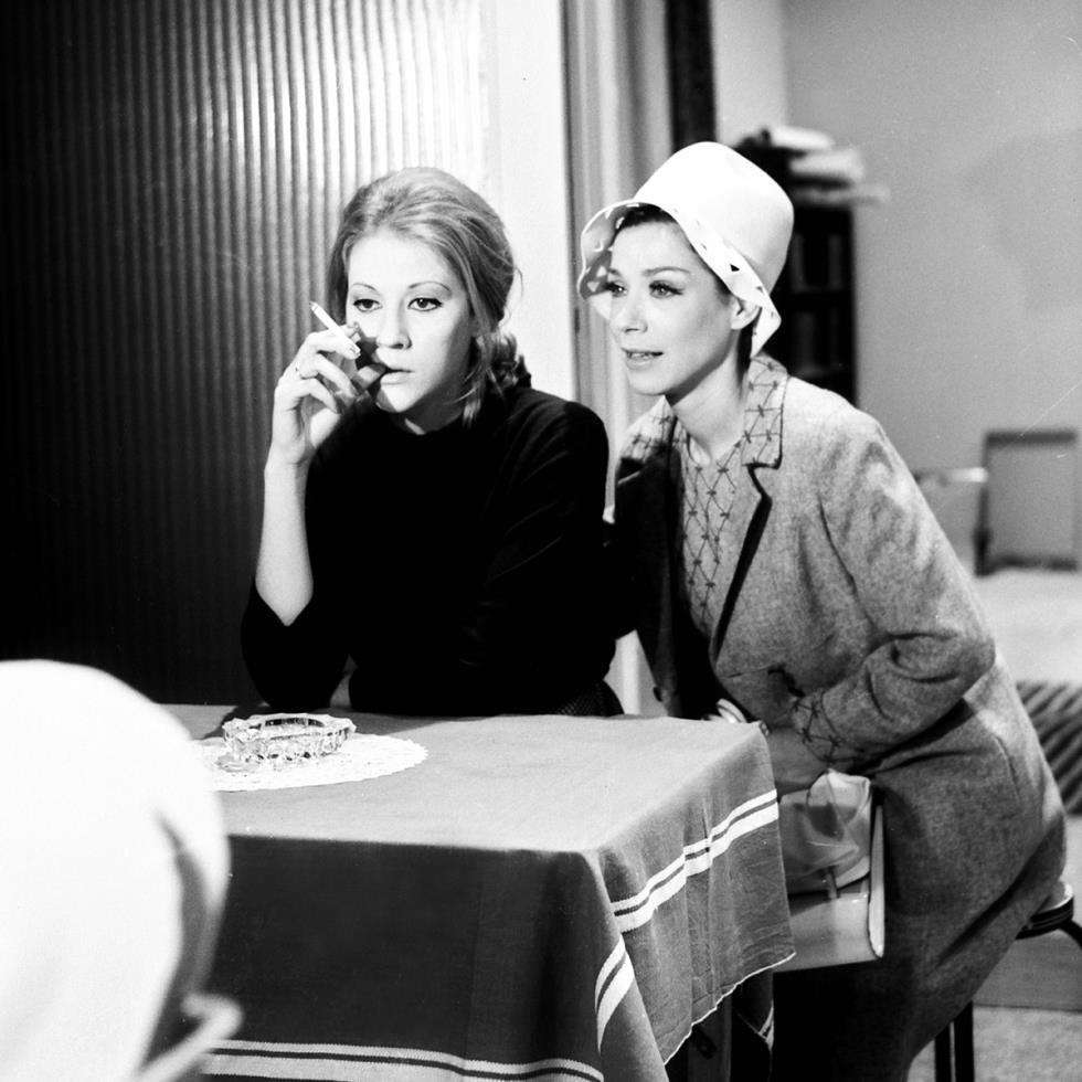 5378051675033128 image