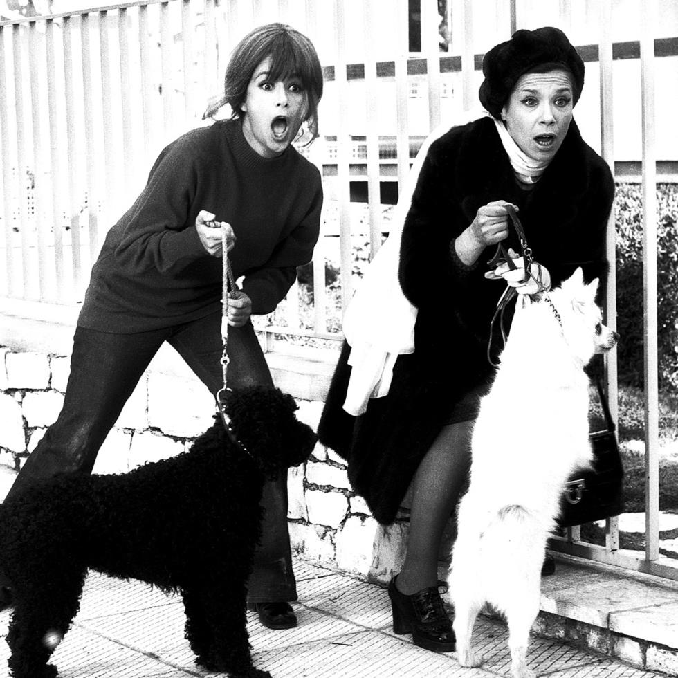 5378052207613581 image