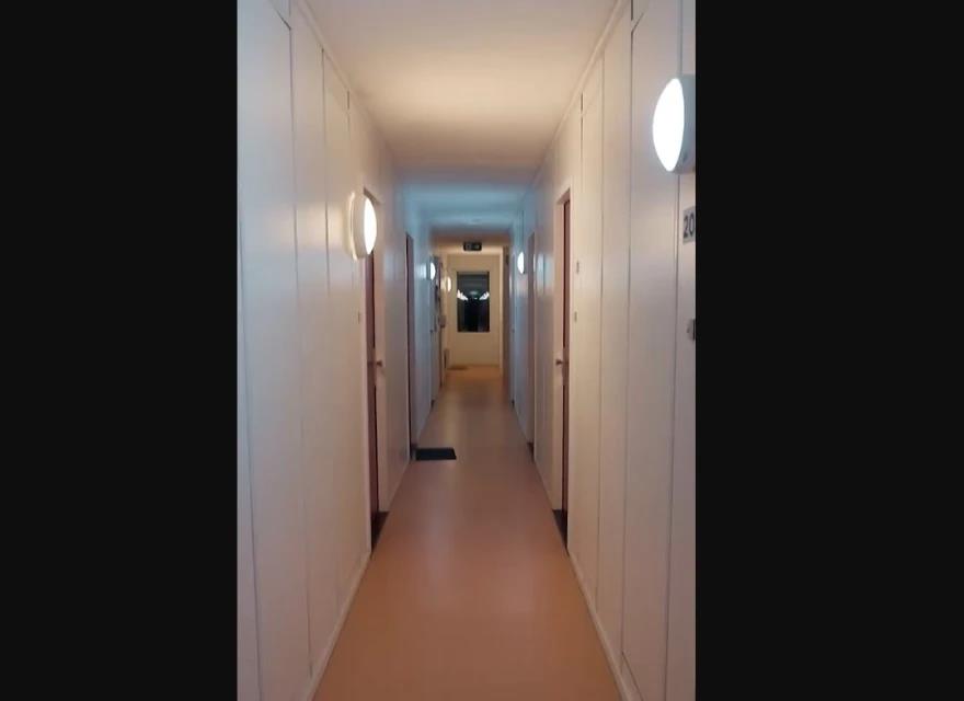 5378256942519721 image