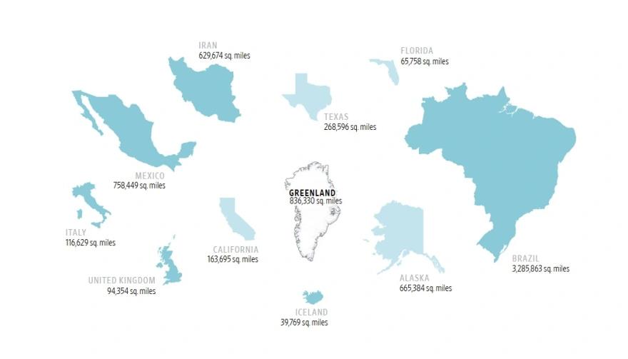 5378676587809728 image