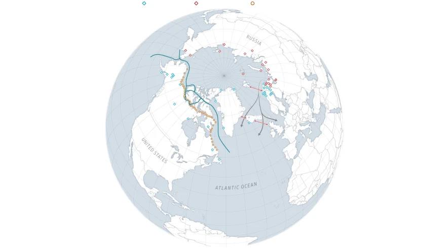 5378676730731826 image