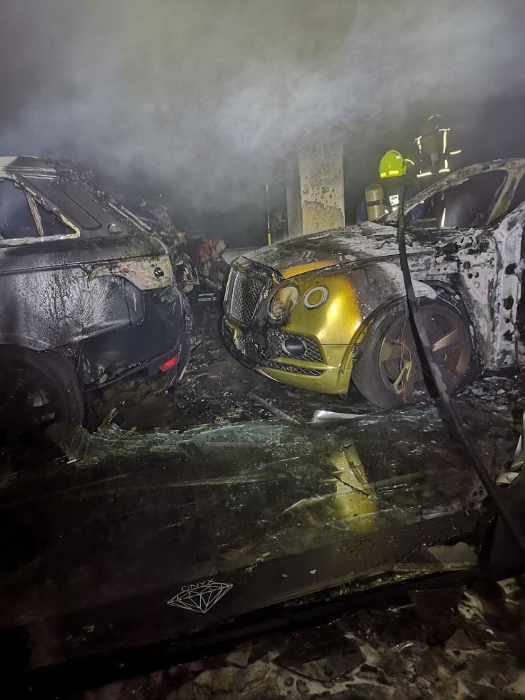 5378726917912013 image