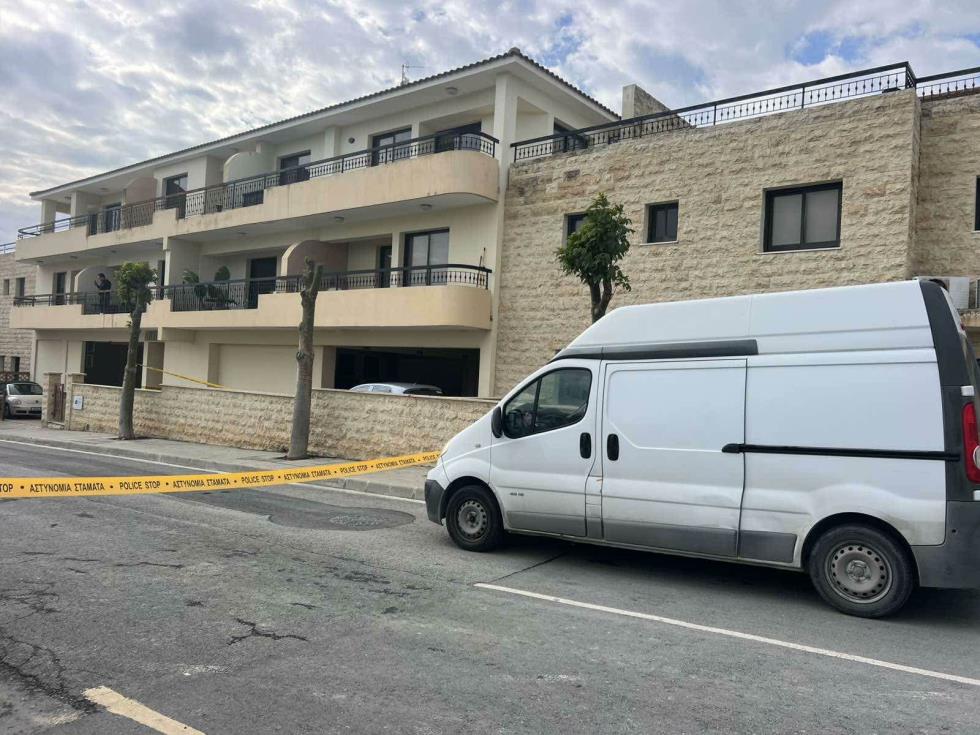 5379673868565887 image