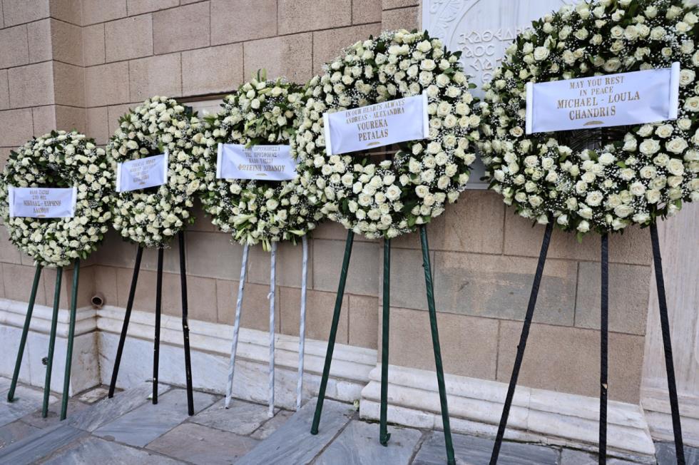 5380595586455204 image