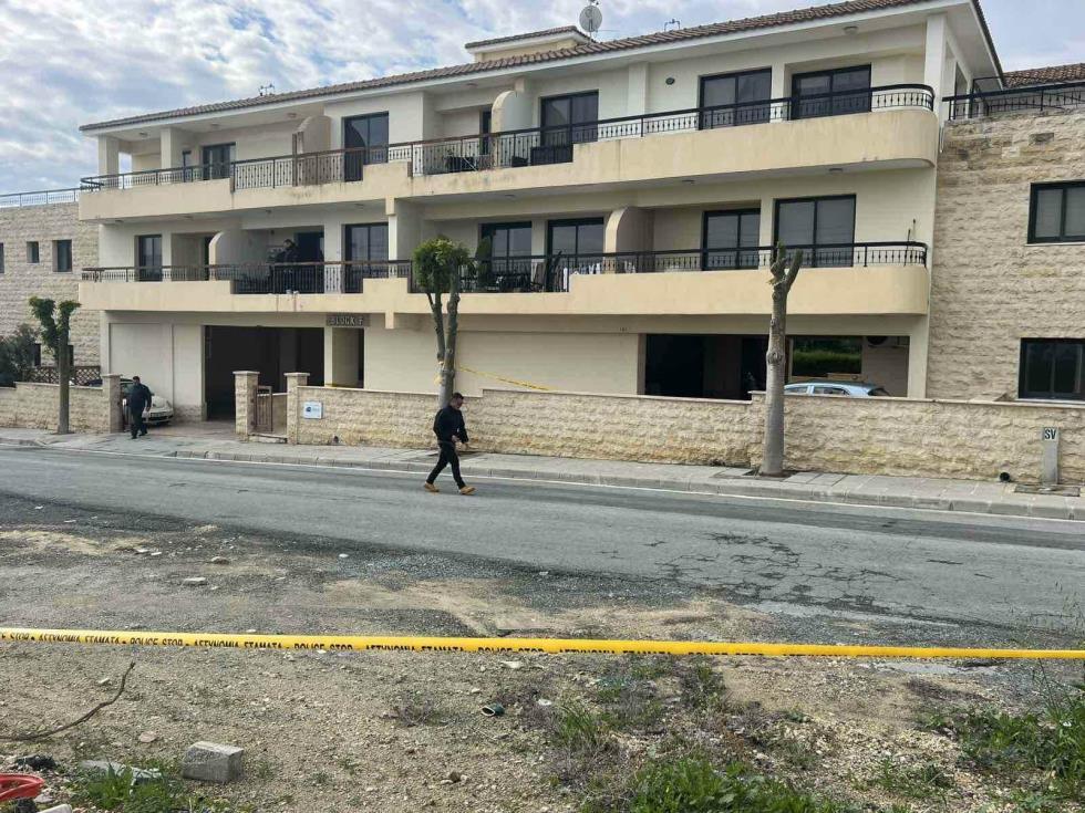 5380598588994578 image