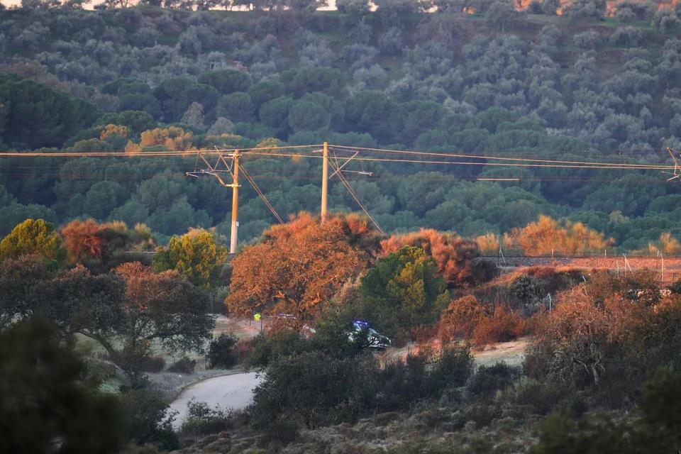 5380670994141321 image