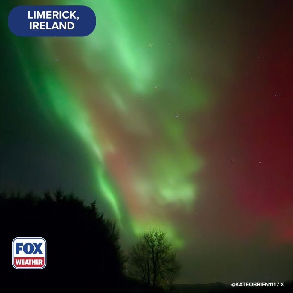 5381306244723440 image