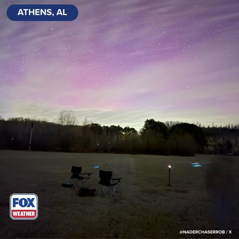 5381306289816257 image