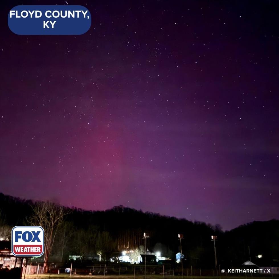 5381306344357879 image