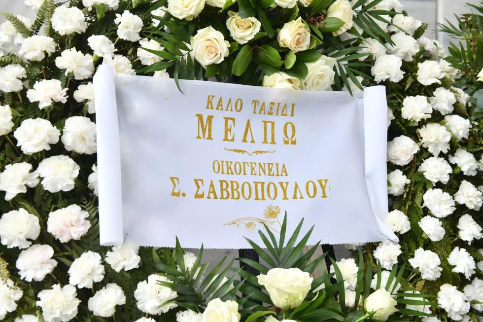 5381465606722004 image