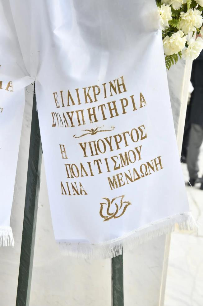 5381465672822784 image