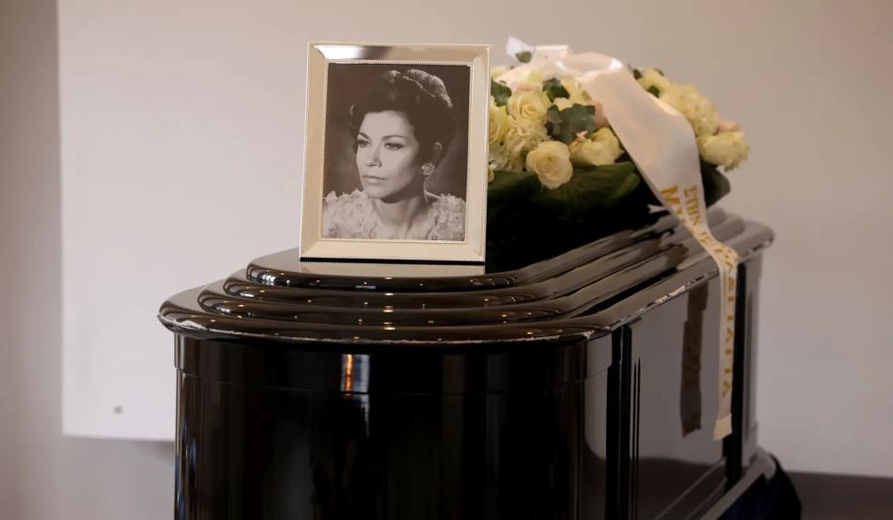 5381470264555058 image