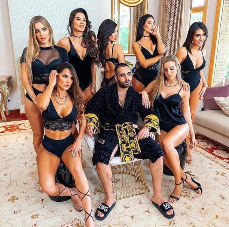 5381589819483340 image