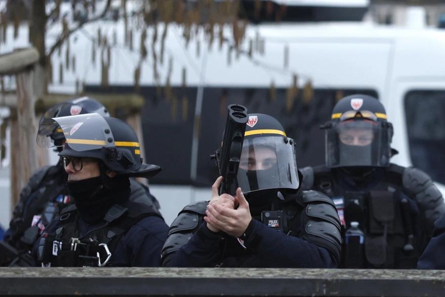 5381716689008920 image