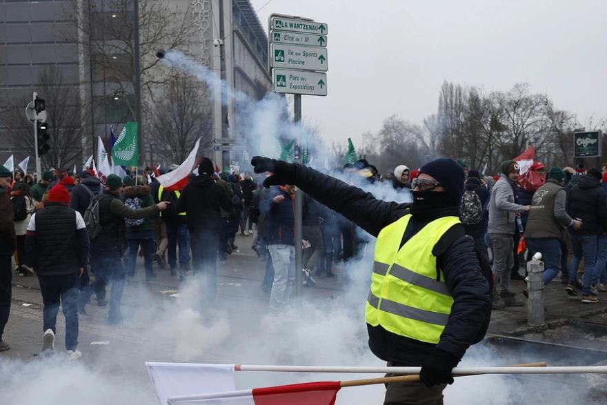 5381716766223369 image