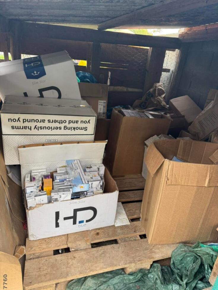 5382432573949782 viber image 2026-01-21 14-54-33-466-768x1024