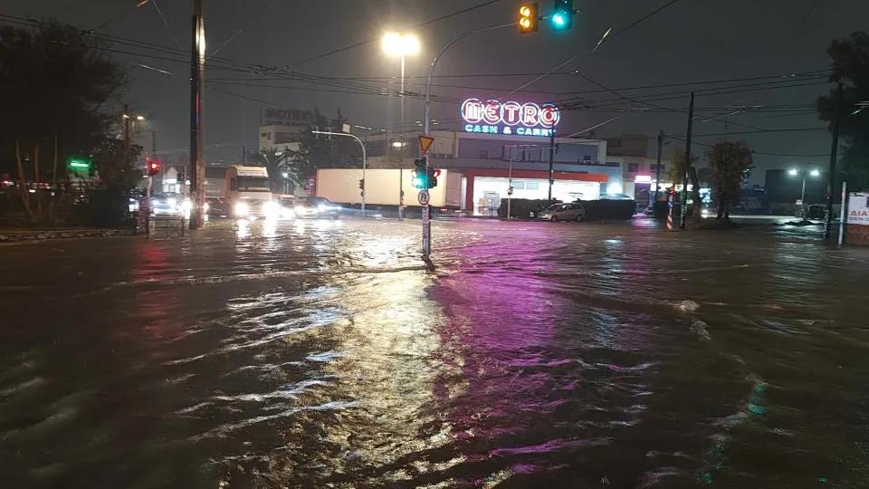 5382617399831028 image