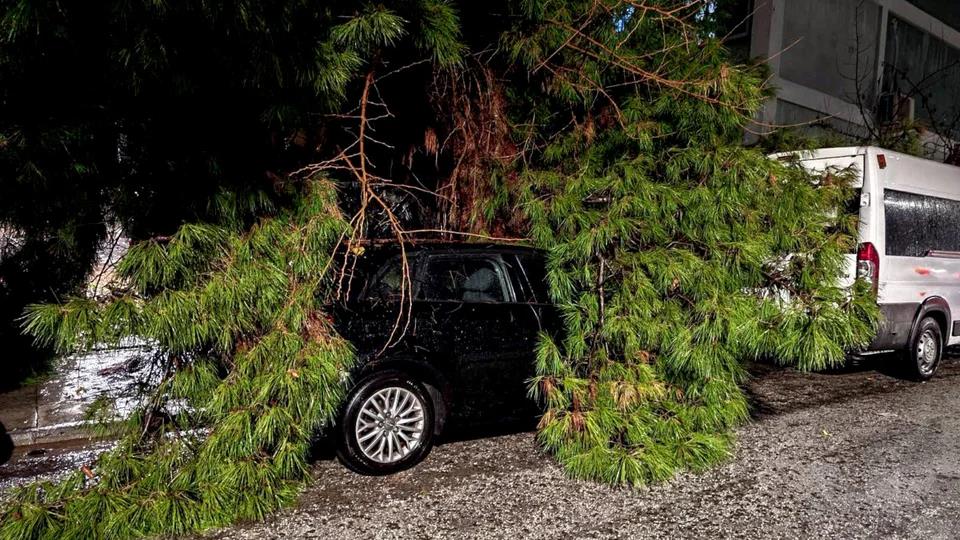 5382986591646369 image