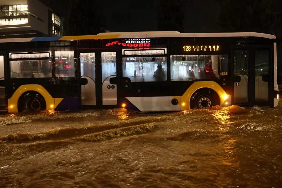 5382987637381254 image