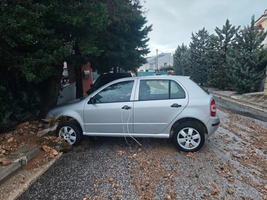 5383058697139363 image