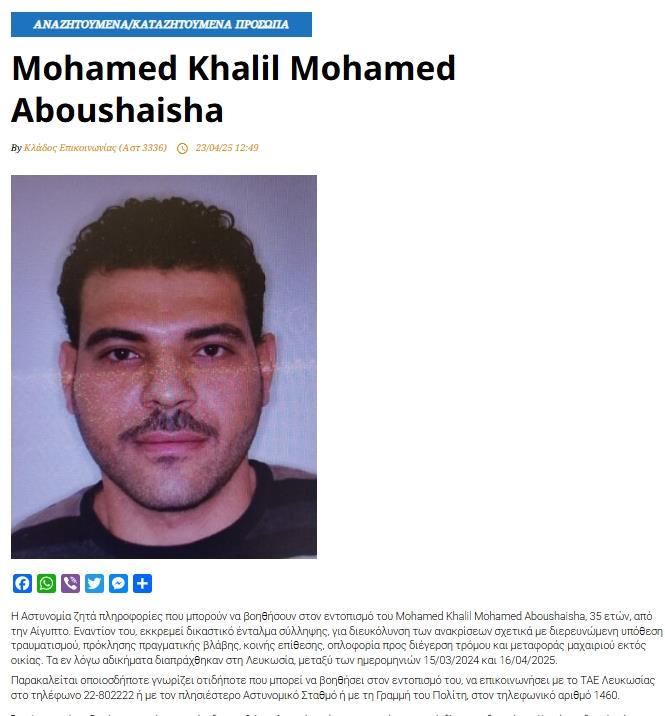 5383101799478853 cats11