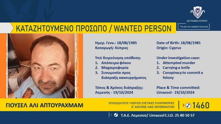 5383195564192221 image