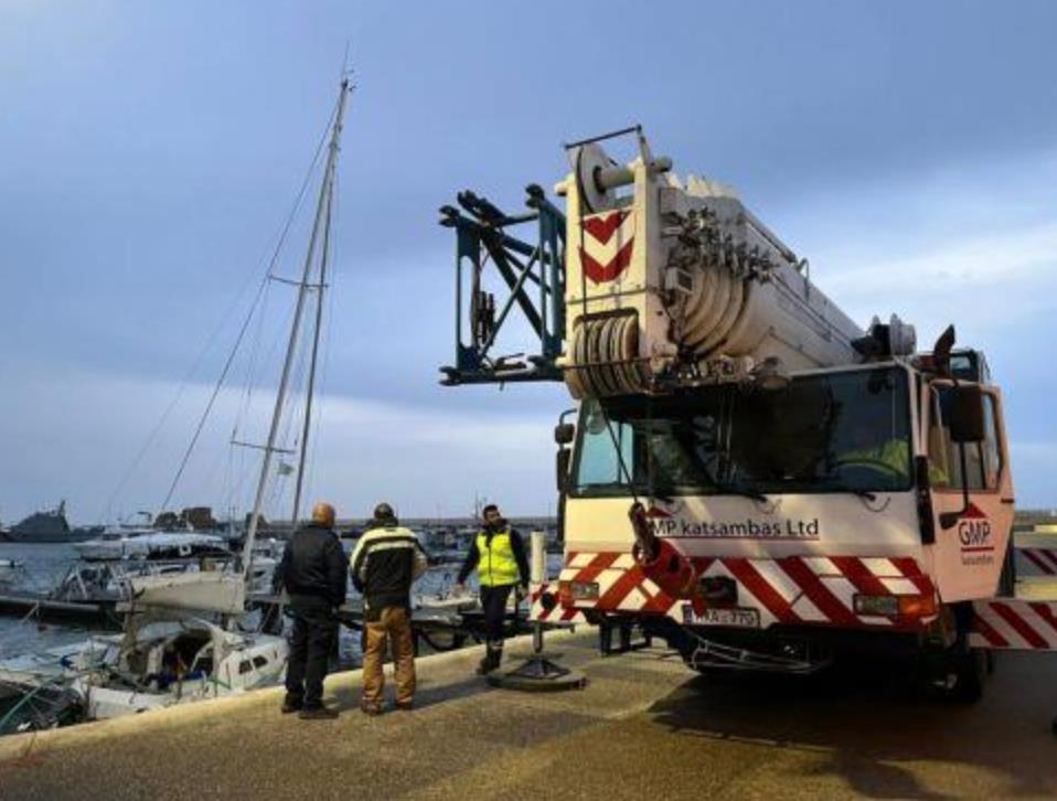 5383930797626925 cats