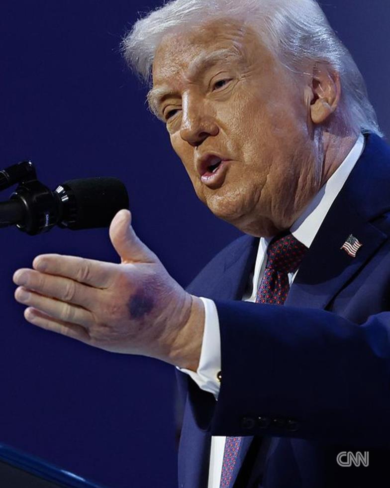 5384029497553789 image