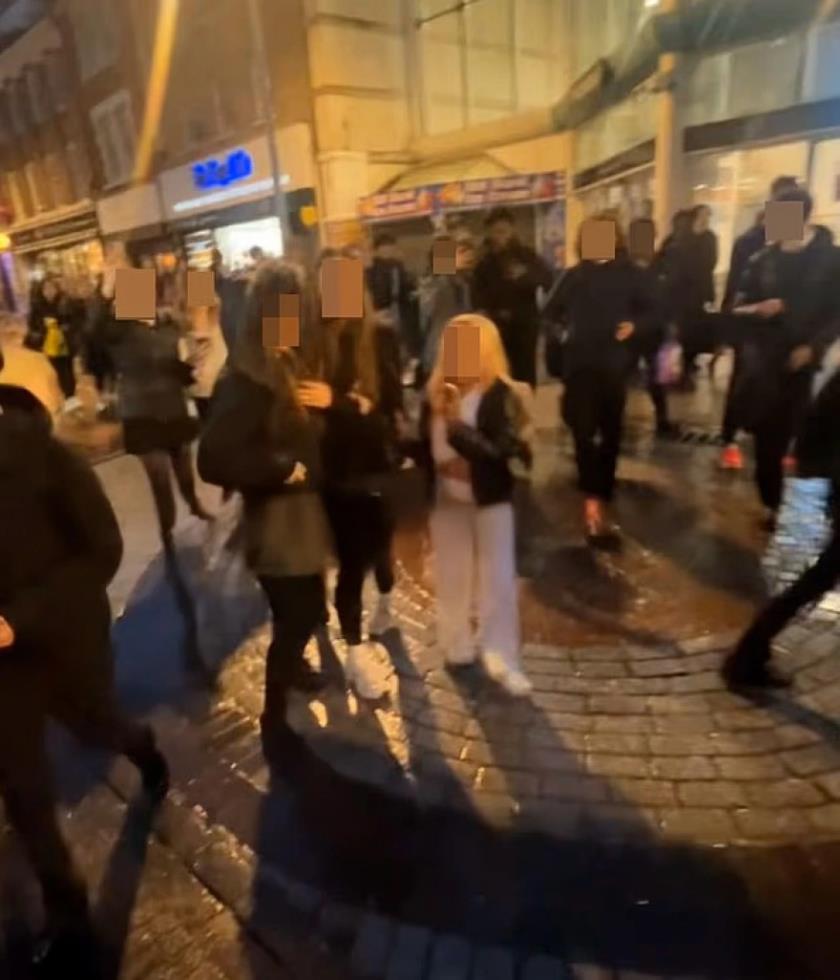 5384316964253408 image