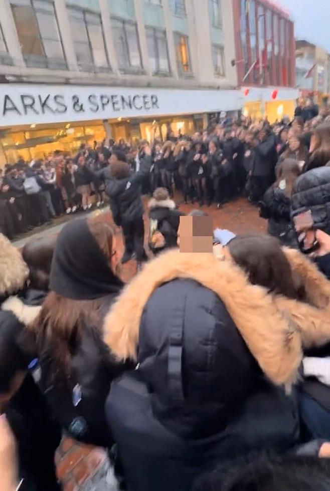 5384317016213028 image