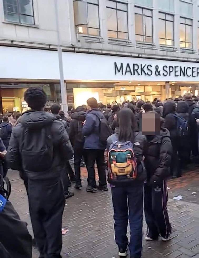 5384317268570030 image