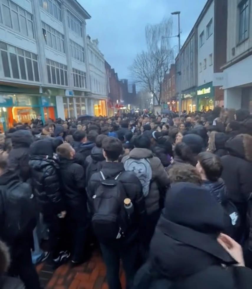 5384317321145698 image