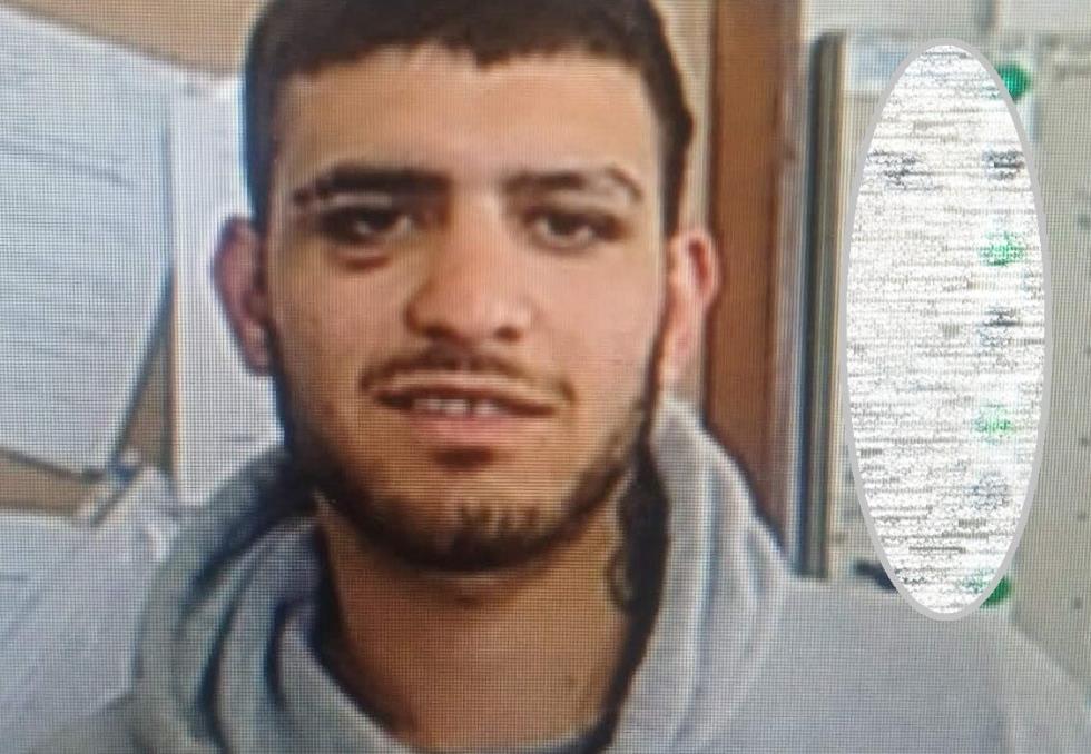 5384343536242837 image