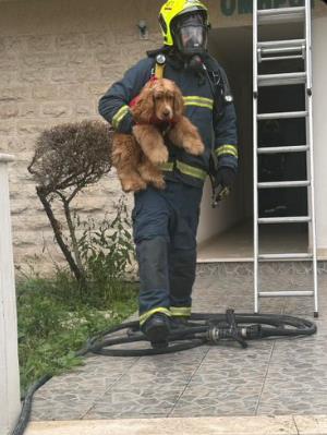 5385025963885251 image